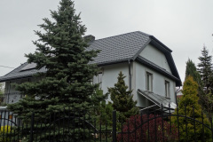 DSC00696